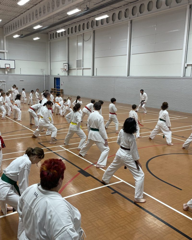 Karate classes in Sevenoaks